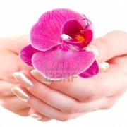 4682414-violet-orchidee-a-la-main-contre-la-femme-blanche